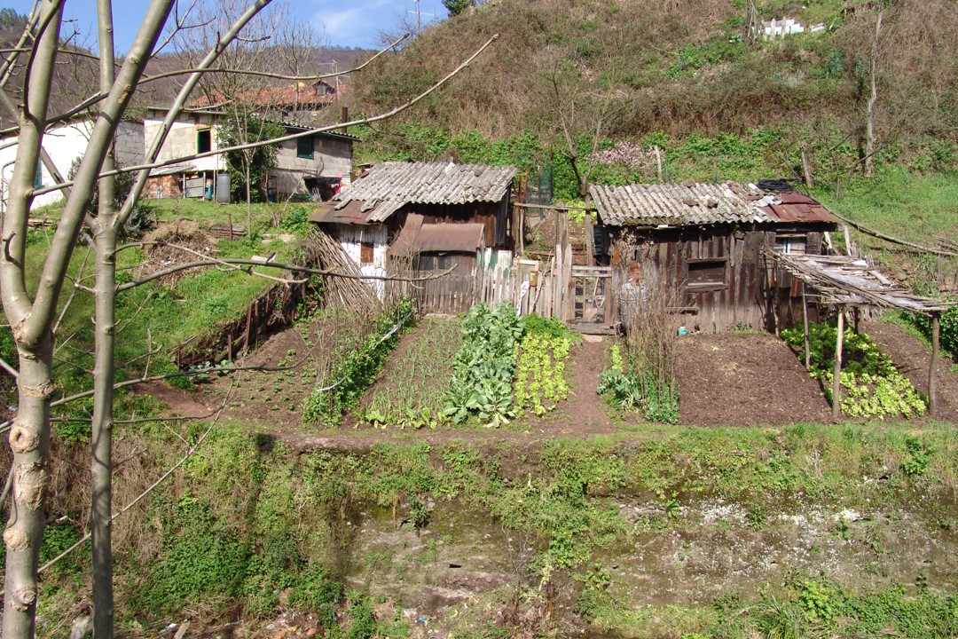 GÜERTA