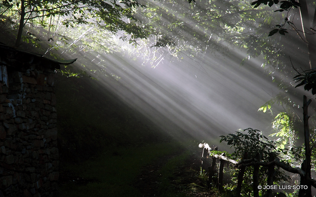 Luz en camin de la Vega.jpg