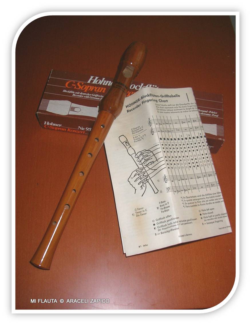 MI FLAUTA.jpg