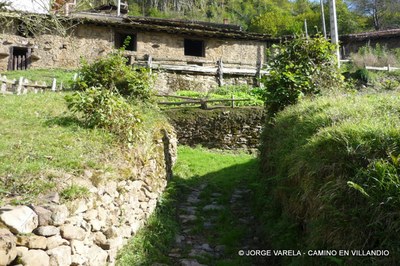 camino en villandio.JPG