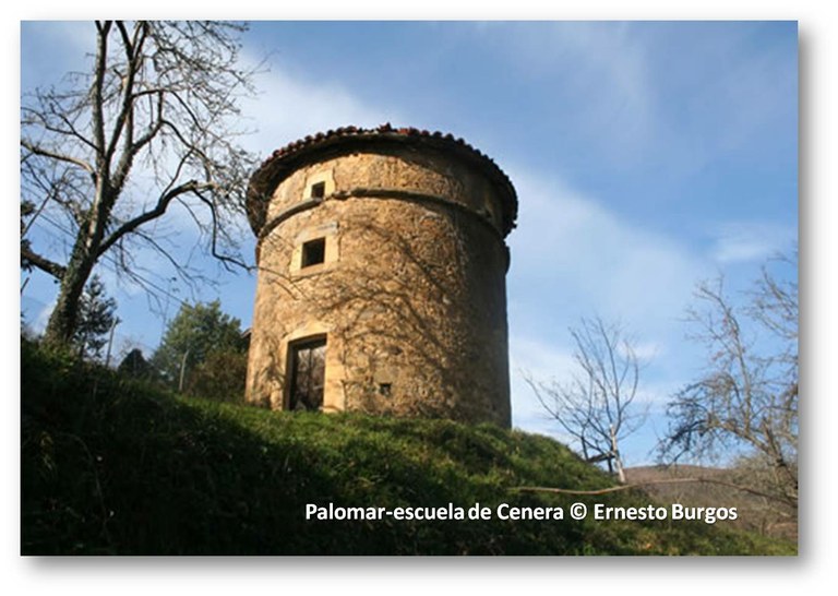Palomar-escuela de Cenera.jpg Palomar-escuela de Cenera.jpg