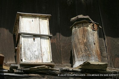 IMG_2157-1.JPG IMG_2157-1.JPG