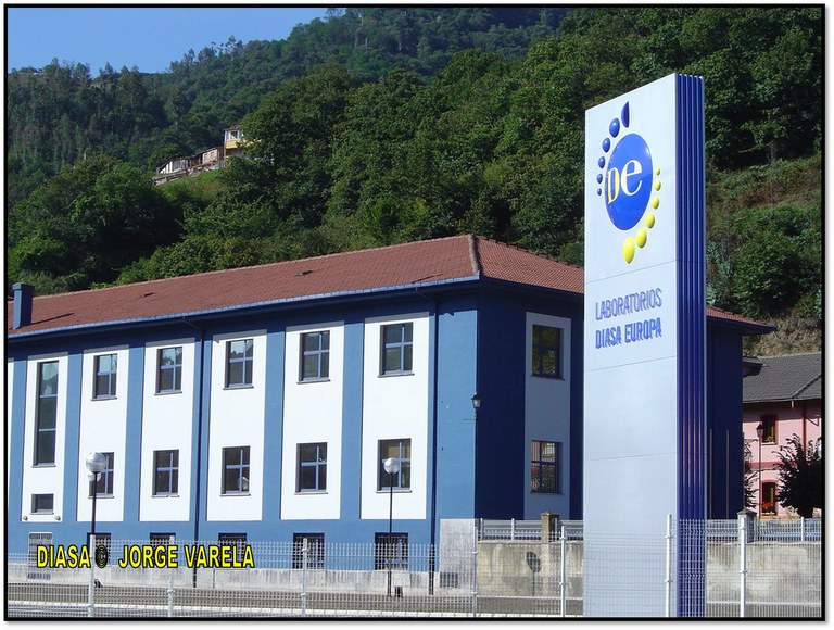 Diasa2.jpg Diasa2.jpg