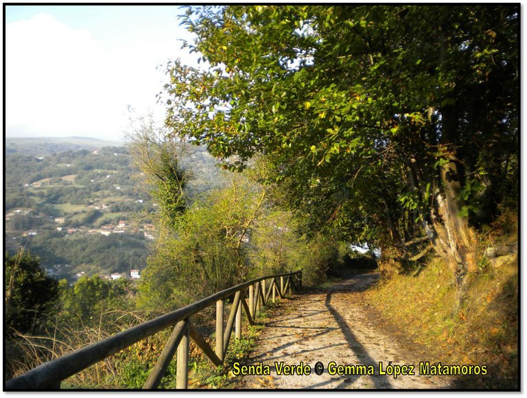 Senda verde.jpg Senda verde.jpg