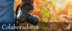 colaboradores
