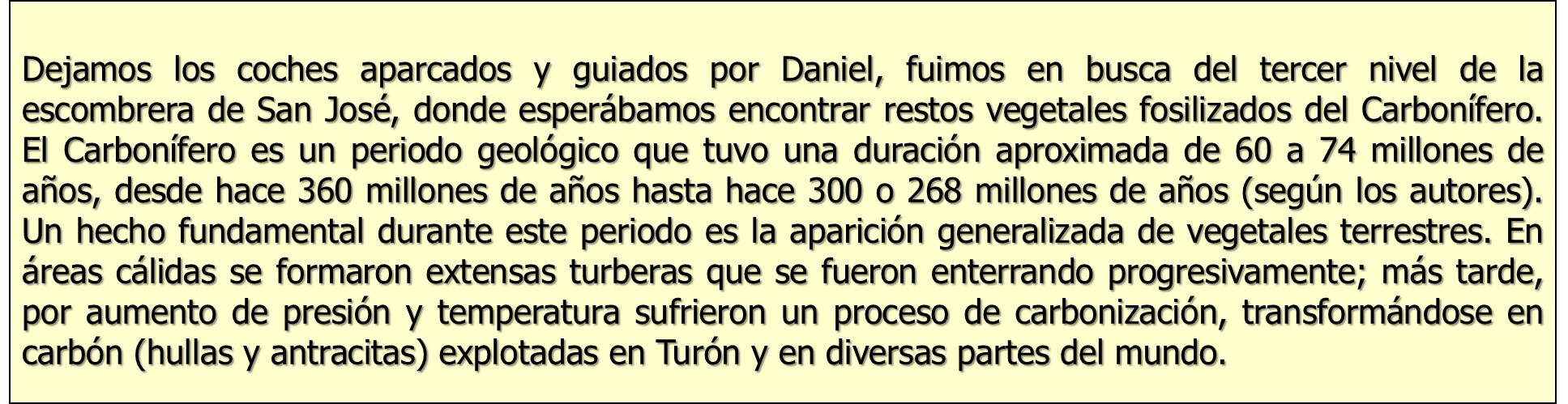 Dejamos los coches