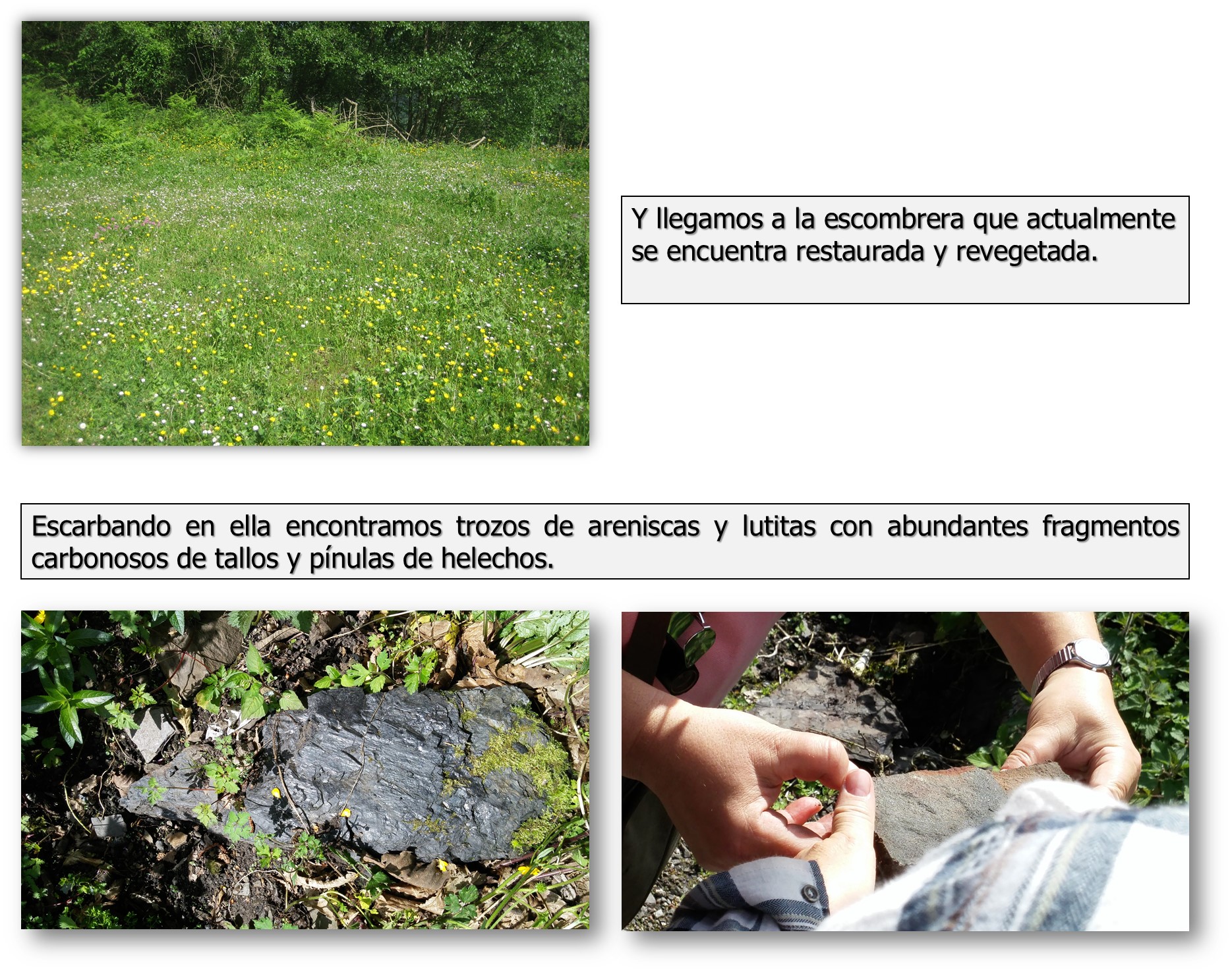 Llegamos a la escombrera