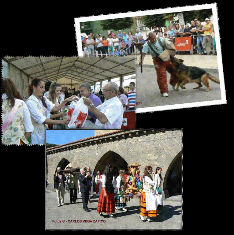 Varis Cristo 2012.gif Varis Cristo 2012.gif