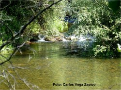  Imagen62 