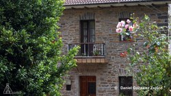 VARIADOImagen%2520860