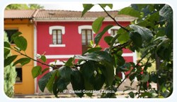 VARIADOImagen%2520980