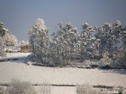  Nieve sobre el Valle de Turon 02-12-10 (12).JPG 