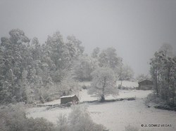  Nieve sobre el Valle de Turon 02-12-10 (8).JPG 