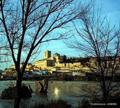 zamora[1]-1.jpg