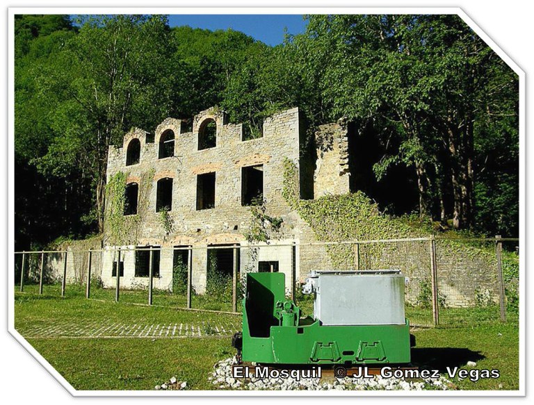 Mosquil.jpg Mosquil.jpg