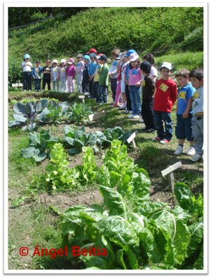 Niños mirando el huerto.jpg