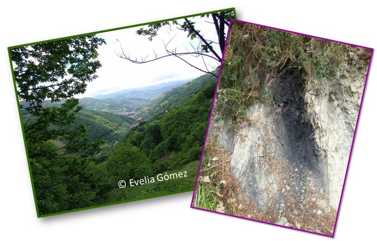 Paisaje_carbón.jpg Paisaje_carbón.jpg