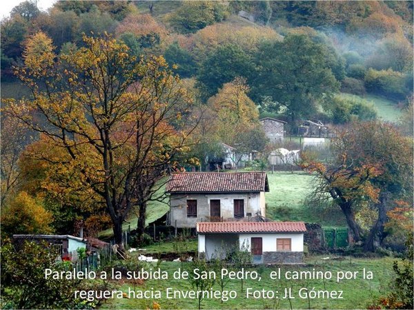 Imagen7