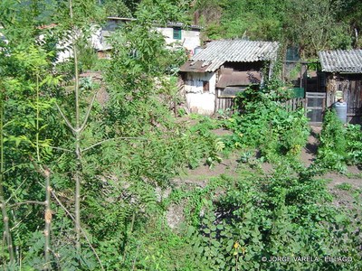  El Lago huerta de Chuso-1.JPG 