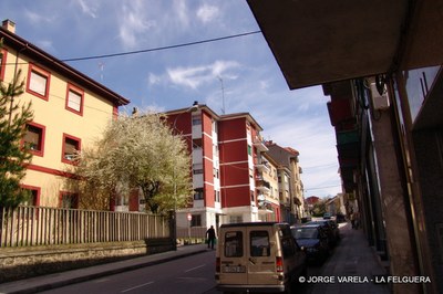  DSC03689-1.JPG 