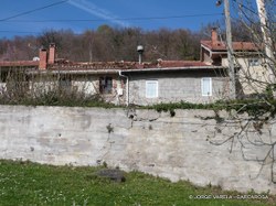 P1010142-1.JPG