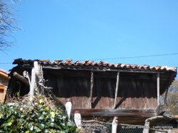 P1010145-1.JPG