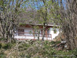 P1010147-1.JPG