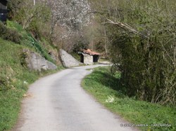 P1010151-1.JPG