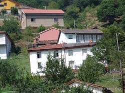 DSC04613-1.JPG