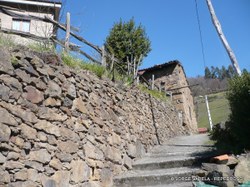 P1010010-1.JPG