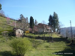 P1010011-1.JPG