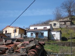 P1010041-1.JPG