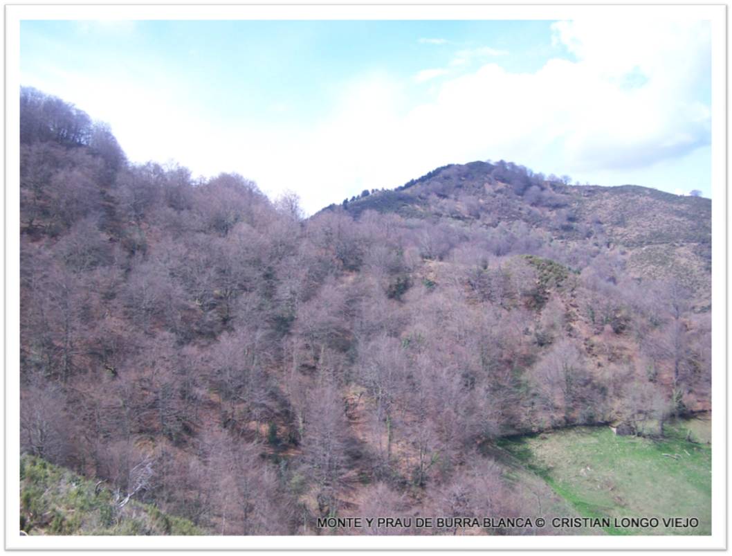 Monte y Prau de Burra Blanca1.JPG