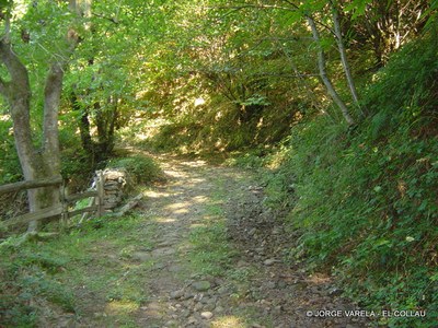  Camino El Collau 1-1.JPG 