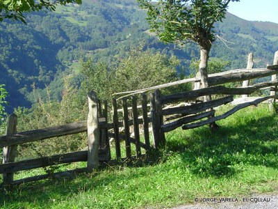  Collau portilla subiendo al...-1.JPG 