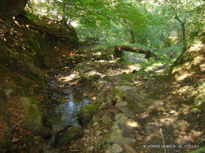  El Collau 8-1.JPG 