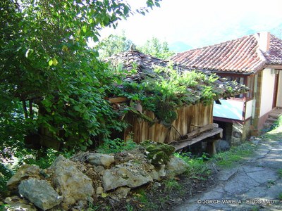  El Collau camino-1.JPG 