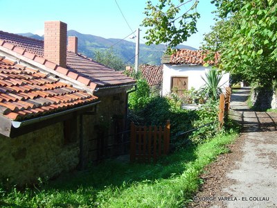  El Collau camino 2-1.JPG 