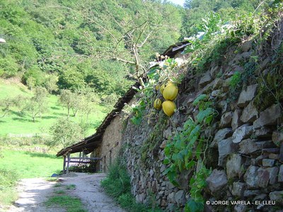  El Lleu camino entrada-1.JPG 