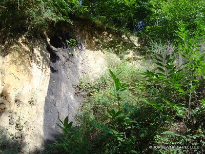  El Lleu veta de carbon-1.JPG 