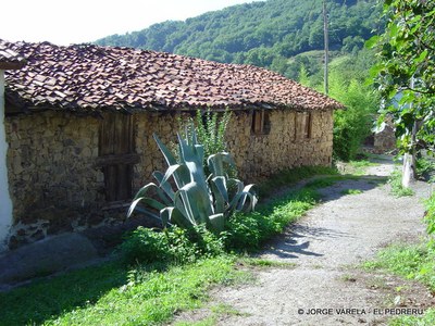  El Pedreru callejuela 1-1.JPG 