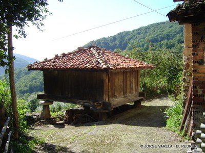  El Pedreru horreo-1.JPG 