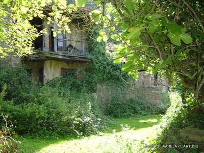  Artusu casa con vegetacion-1.JPG 